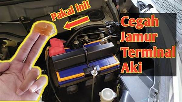 Cara Mencegah Karat Pada Terminal Aki.