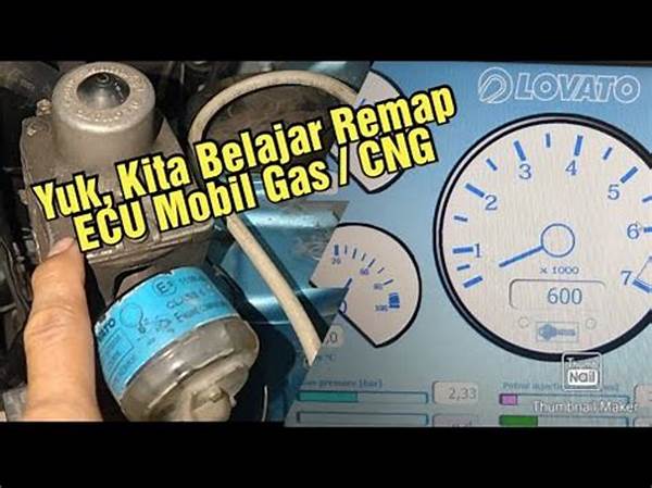 “efisiensi Bahan Bakar Optimal Reset Ecu”