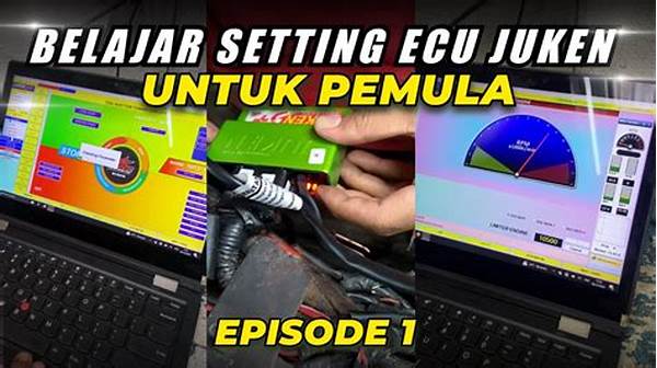 Panduan Reset Ecu Untuk Pemula