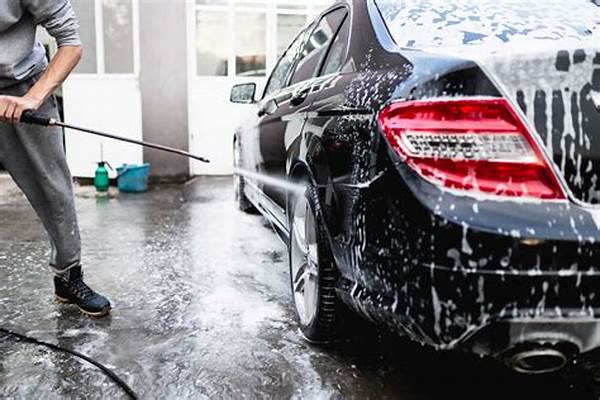 Alat Cuci Interior Mobil Kulit