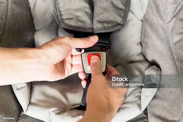 Instruksi Pemasangan Sabuk Kendaraan