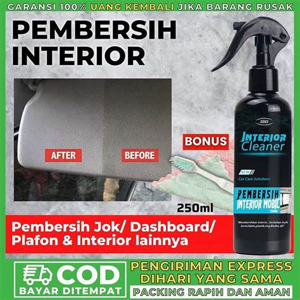 Pembersih Karpet Mobil Bahan Alami