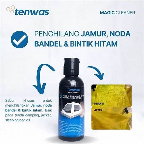Produk Terbaik Penghilang Noda Bandel