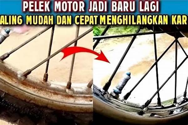 Bahan Alami Hilangkan Karat Velg