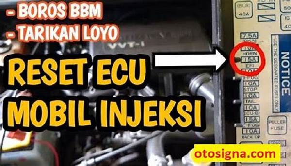 Keamanan Saat Reset Ecu.