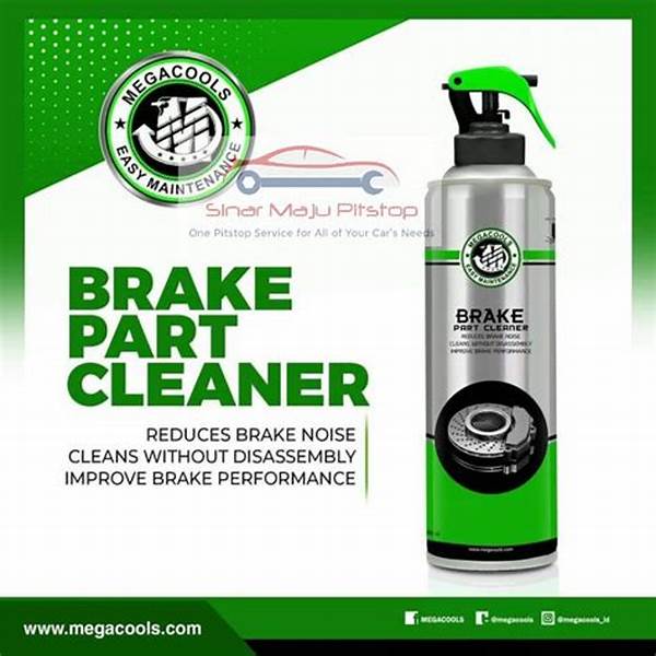 Panduan Penggunaan Pembersih Kampas