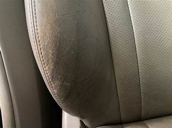 Cara Mencegah Jok Kulit Retak