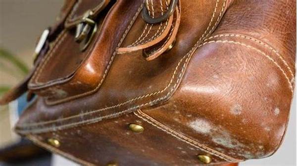 Trik Menghilangkan Bau Jok Kulit.