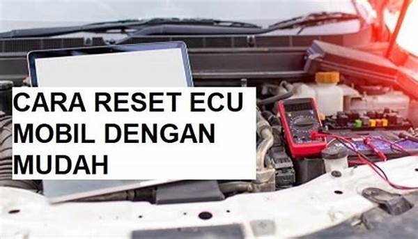 Pemula Belajar Reset Ecu Mobil