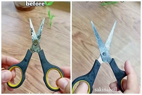 Langkah Sederhana Hilangkan Karat