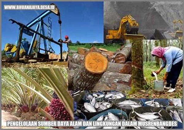 Optimalisasi Sumber Daya Alam
