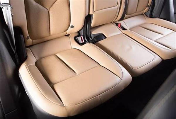 Panduan Lengkap Merawat Jok Kulit