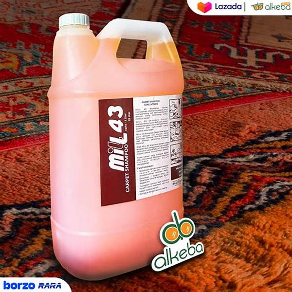 Pembersih Karpet Efektif Dan Vegan