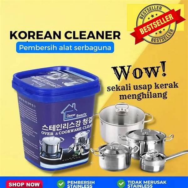 Peralatan Pembersih Karat Alternatif