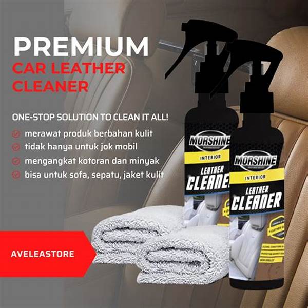 Perawatan Jok Kulit Mobil Praktis